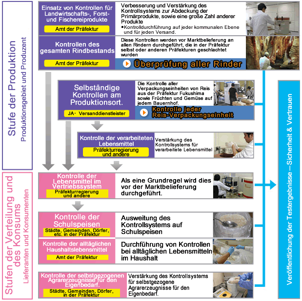 Image: Flow of inspection