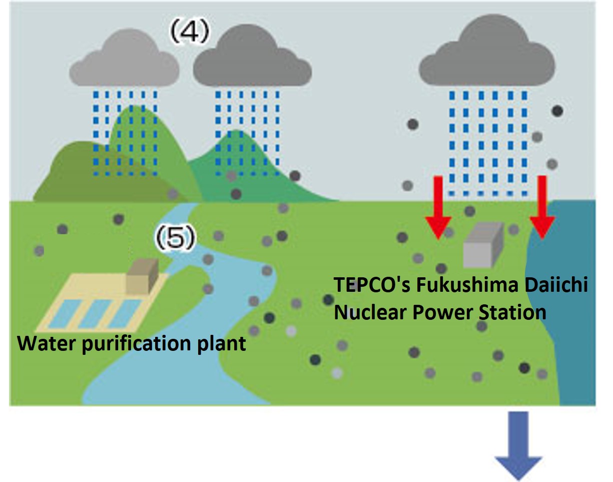 Impact immediately after the nuclear accident <2>