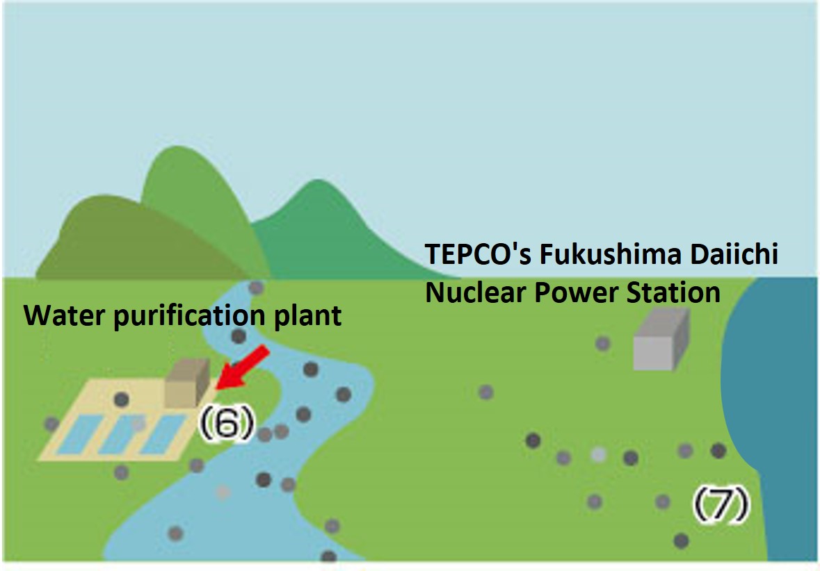 Impact immediately after the nuclear accident <3>