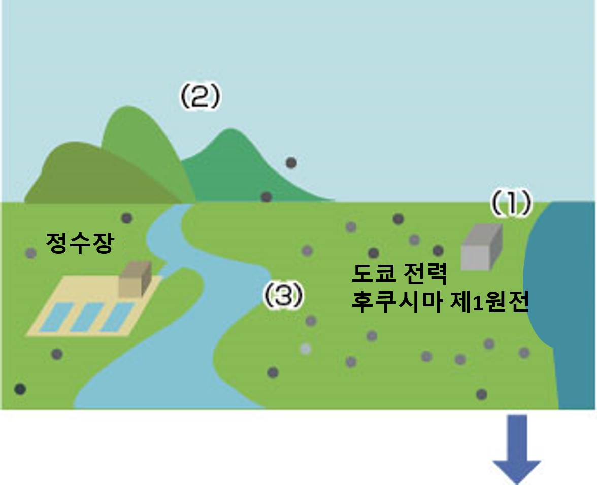 원전에서의 방사성 물질 방출 감소 이후의 영향1