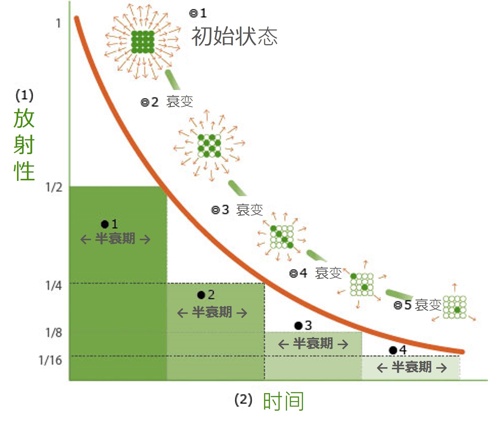 关于半衰期.