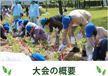 大会の概要