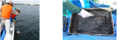 エコ調査サンプリング