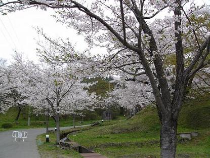 霞ヶ城県立自然公園(二本松市）