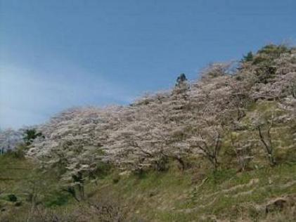 茶臼山自然環境保全地域（伊達市霊山町）