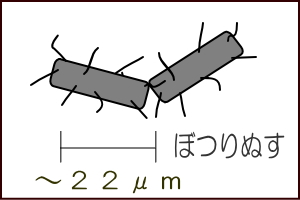 ボツリヌス菌の絵