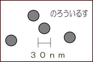 ノロウイルスの絵