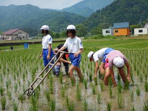 雑草取りの様子