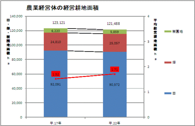 表　農業経営体の経営耕地面積