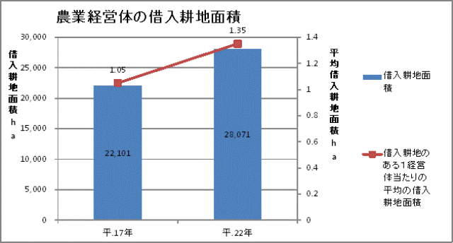 表　農業経営体の借入耕地面積