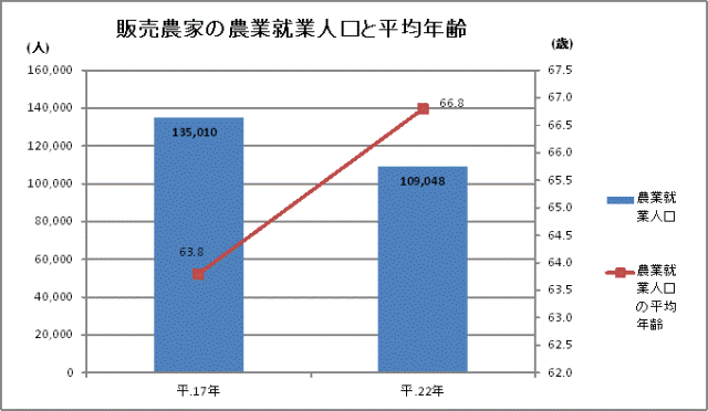 表　販売農家の農業就業人口の平均年齢