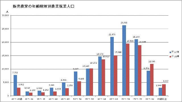 表　販売農家の年齢階層別農業就業人口