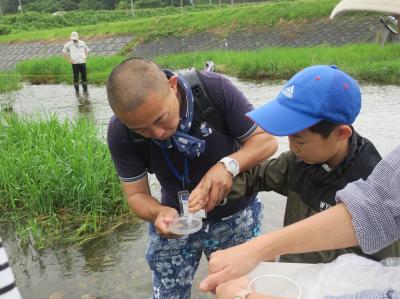 CODパックテストによる水質測定