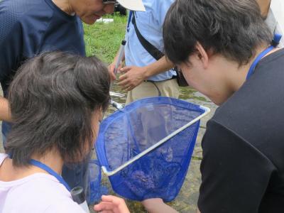 採集した水生生物を説明する受講生
