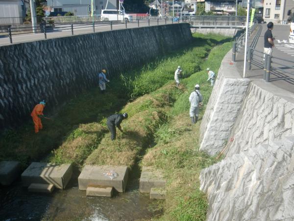 桜川河川清掃