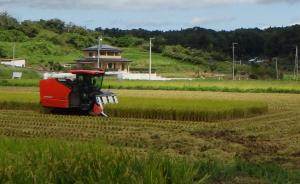 収量コンバインでの収穫風景２