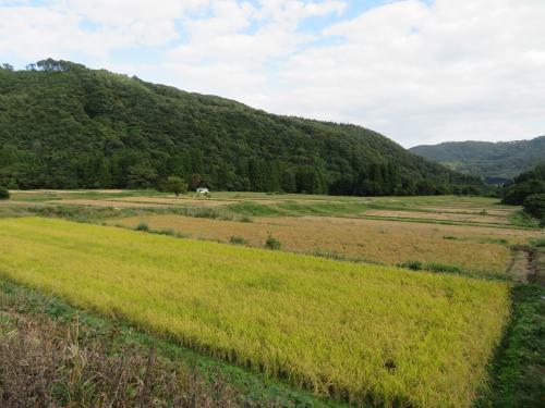 喜多方市高郷町揚津の棚田