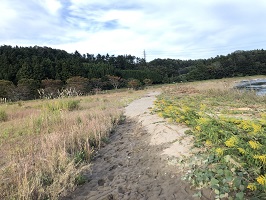 氾濫河川9