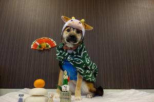 ちびお正月　全体