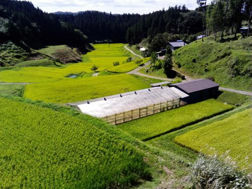 石川町中田の棚田