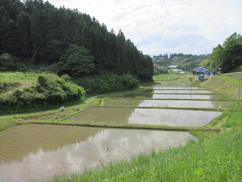 二本松市太田布沢の棚田