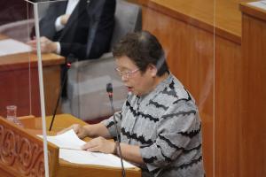 討論をする宮川えみ子議員の写真