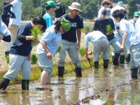 植付際の様子1