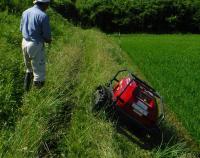 リモコン除草機での草刈り作業１