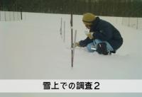 雪上での調査２