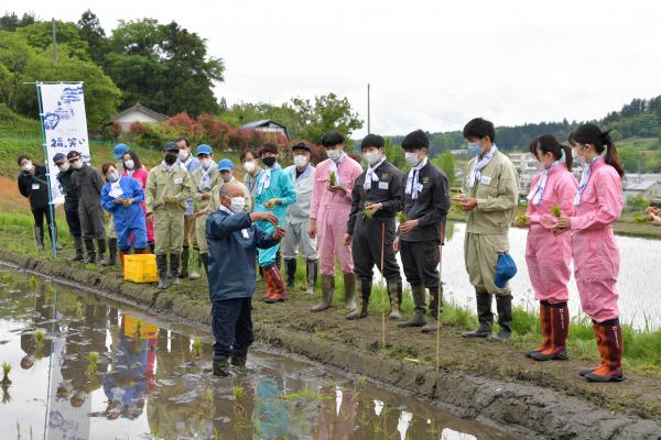 田植え前