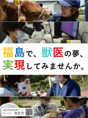 獣医師サイトサムネイル①