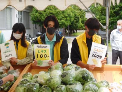 野菜経営学科（ブロッコリー　レタス　にんにく）