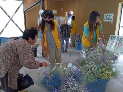 花き経営学科（カスミソウ）