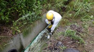 排水溝を調査する県職員