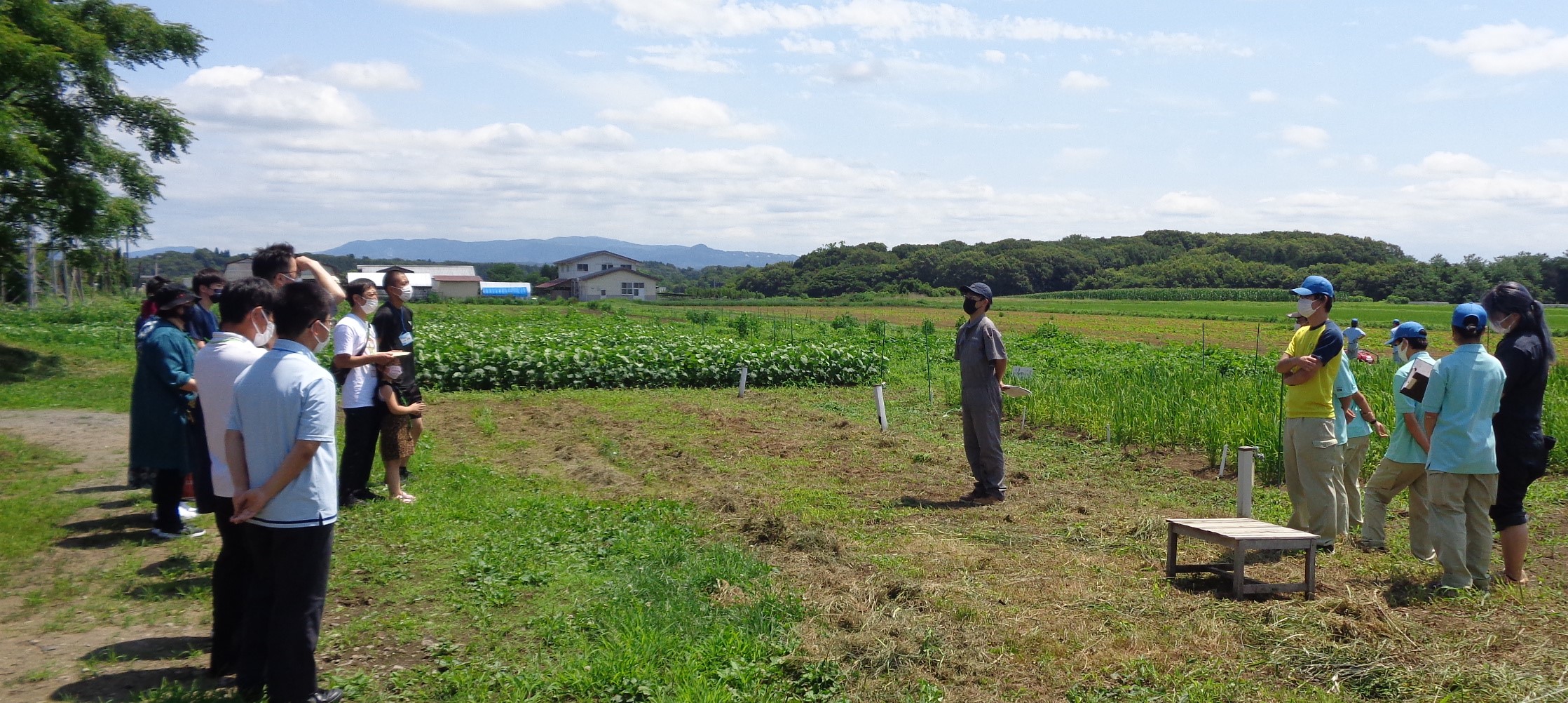 研究発表（水田経営学科）