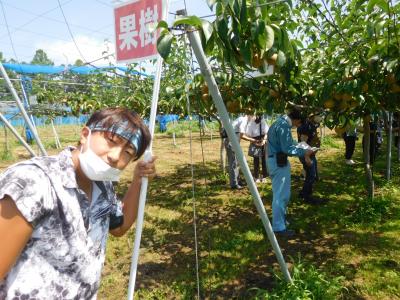 果樹園案内（果樹経営学科）