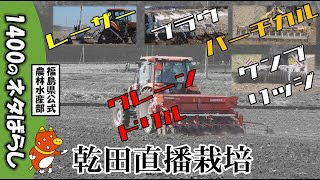 動画へのリンク