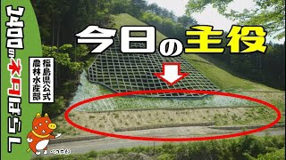 動画へのリンク