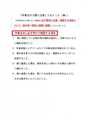 作業当日に必ず声かけ確認する項目蜂