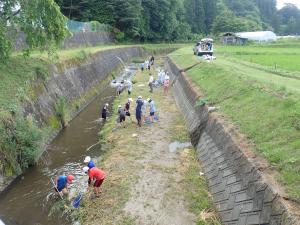 令和４年度 生き物調査実施状況