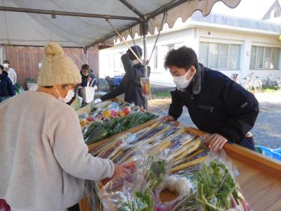 野菜経営学科（カラーニンジン）