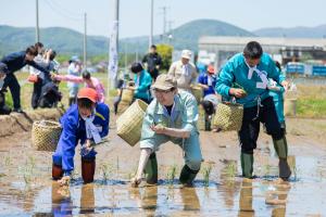 田植え