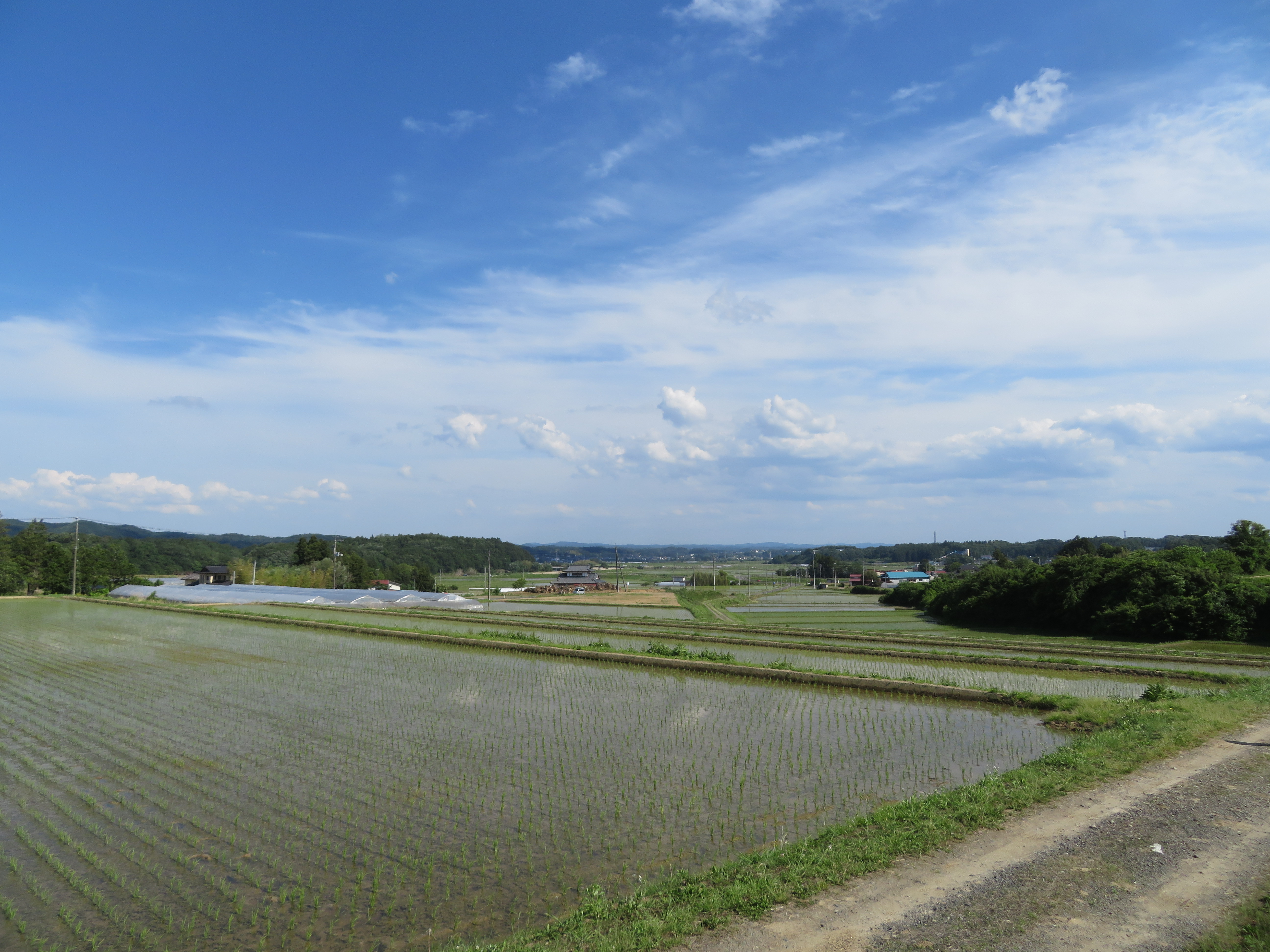 須賀川市、鏡石町にまたがる棚田