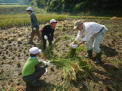 写真：稲の束ね方を習う児童