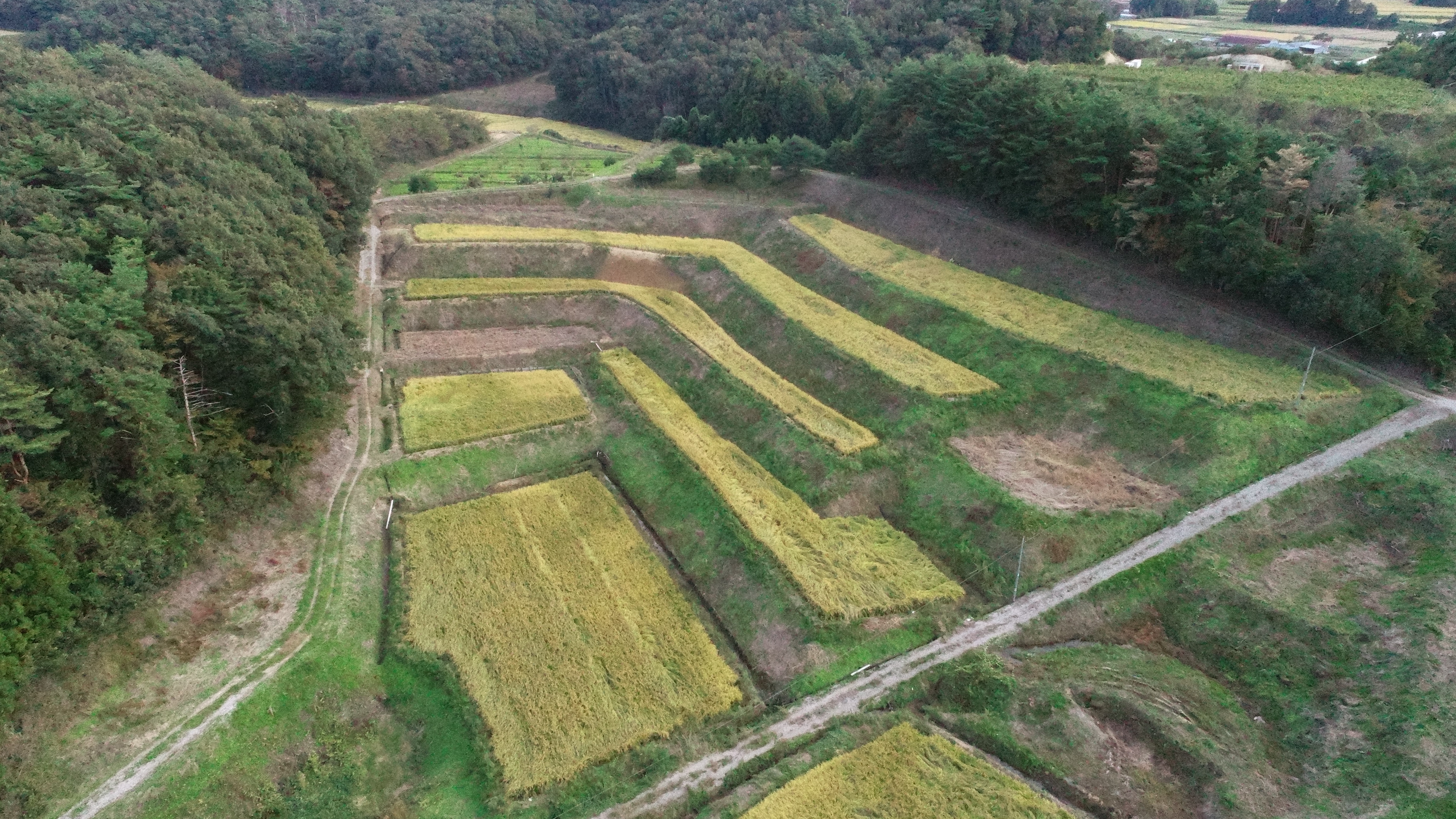 舘西地区の棚田２