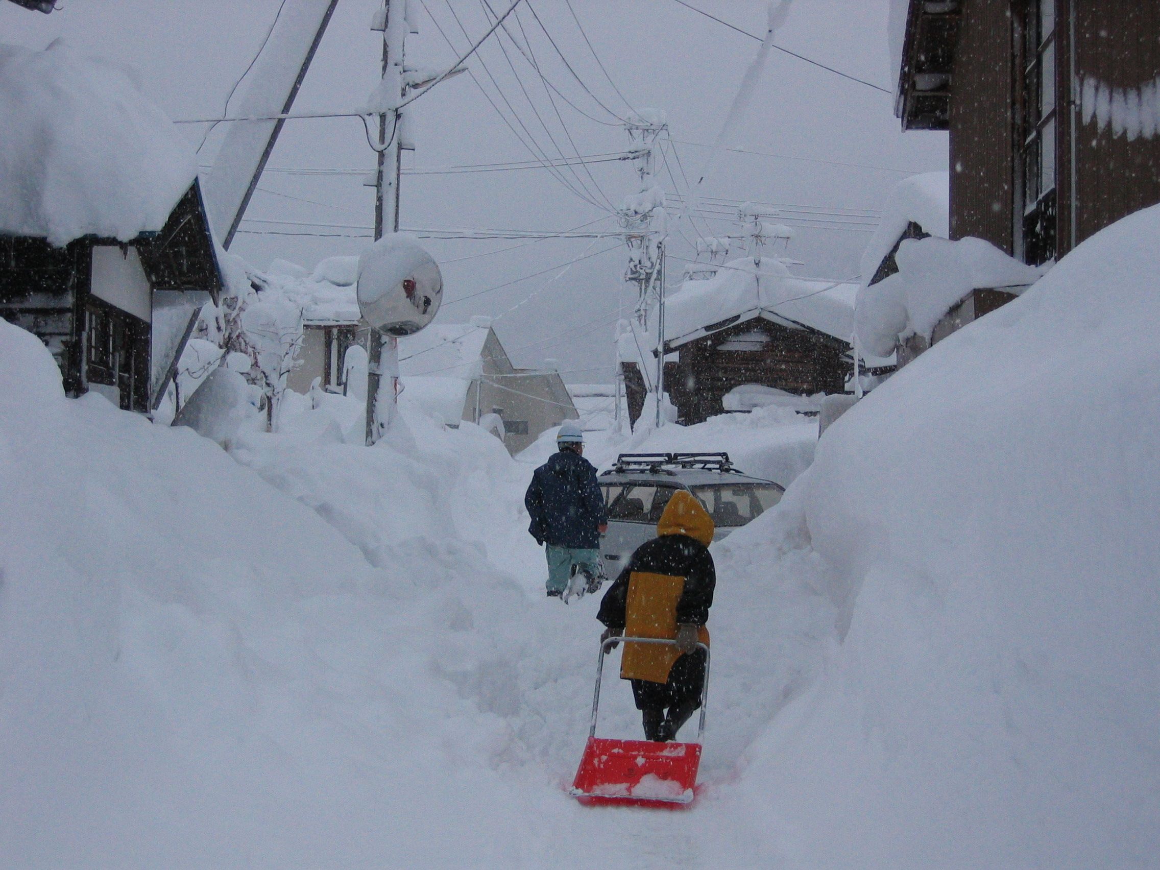 豪雪1