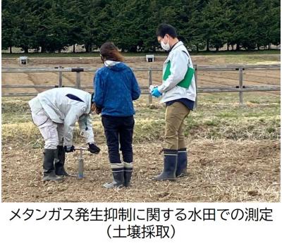 水田土壌採取の様子