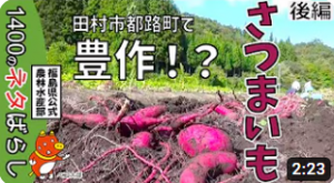 田村市都路町でさつまいも栽培に挑戦　収穫編