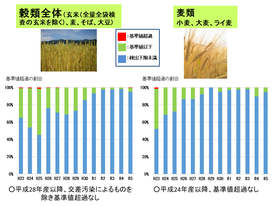 平成23年から令和6年3月までの穀類（全体・麦類）の経年変化です。