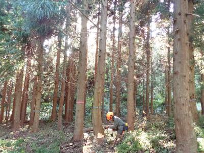 塩田天空さん　写真２